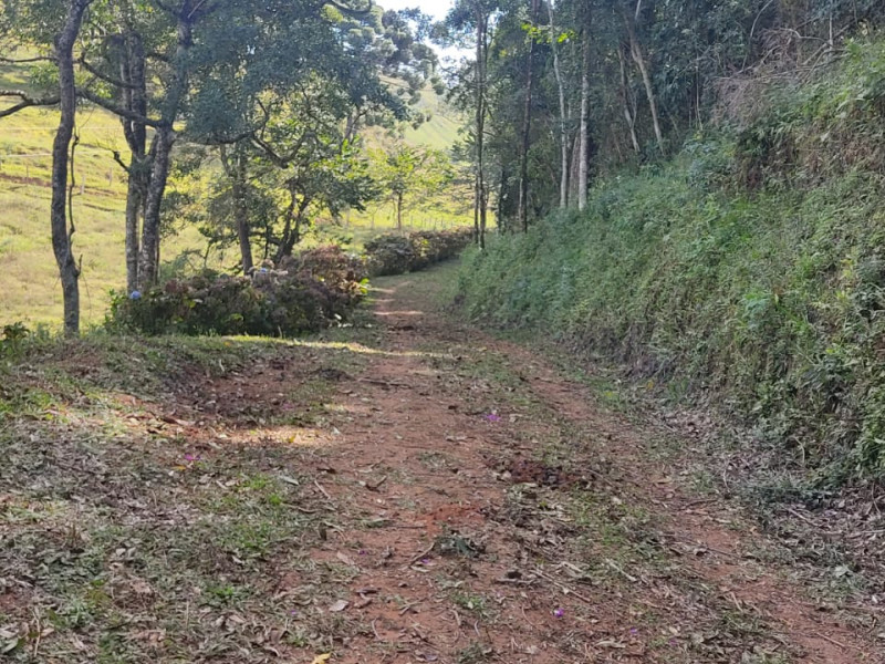 Sítio próximo a Gonçalves