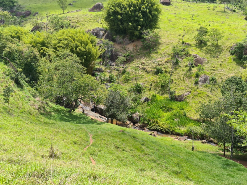 Área em Paraisópolis