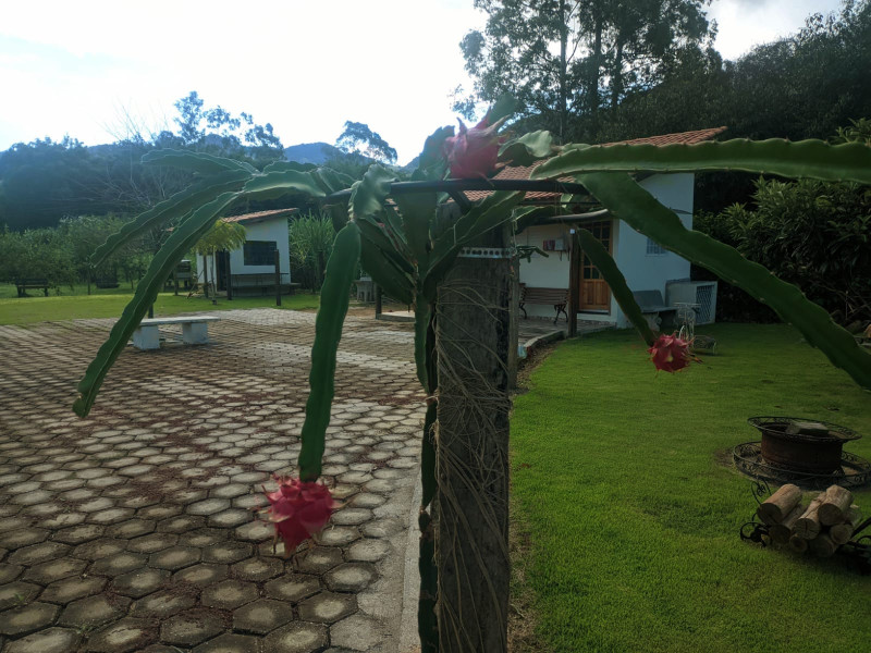 Chácara em Gonçalves