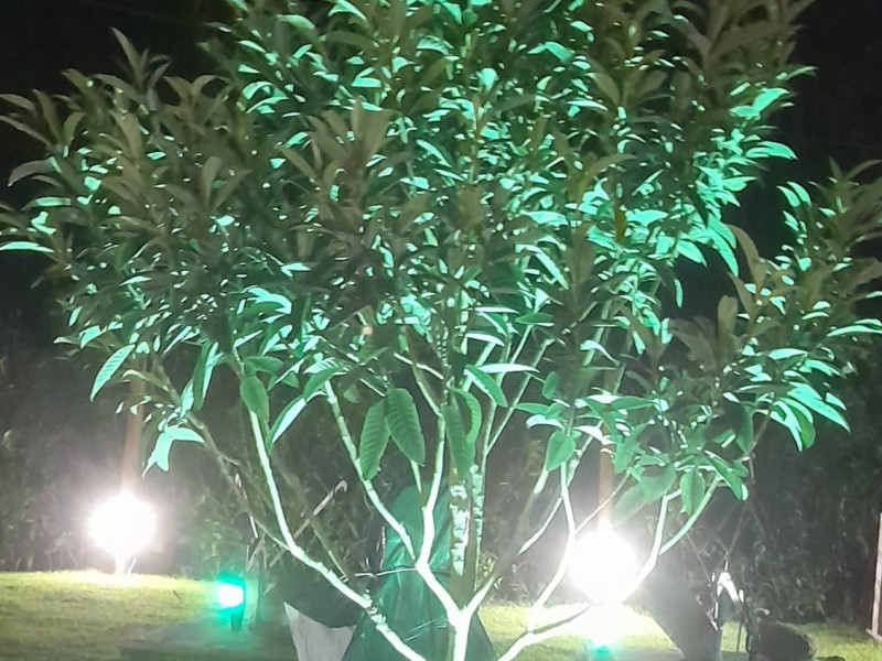 Chácara em Gonçalves