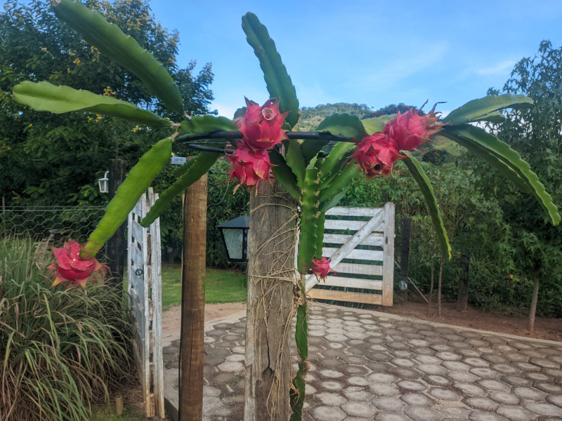 Chácara em Gonçalves