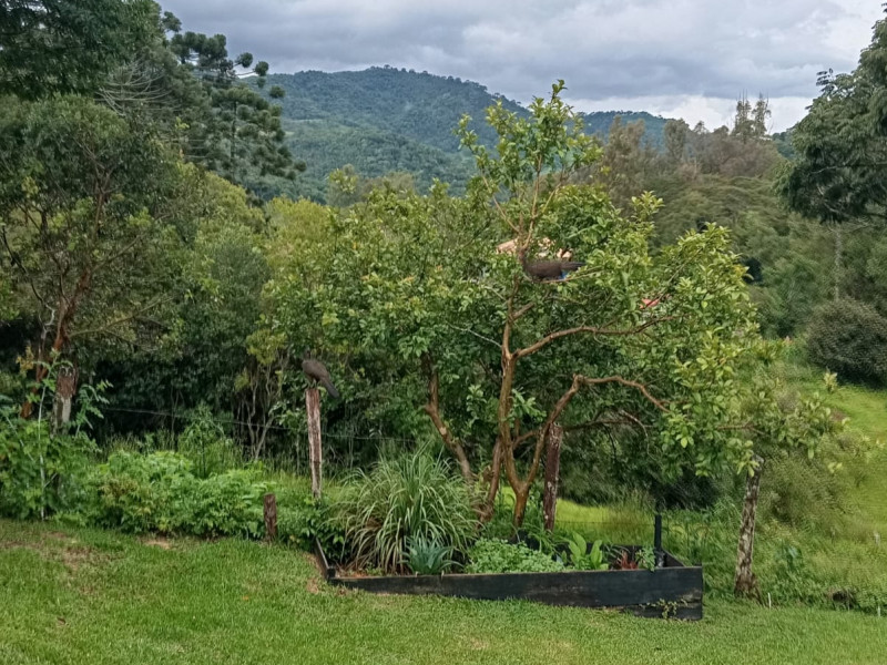 Chácara em São Bento do Sapucaí