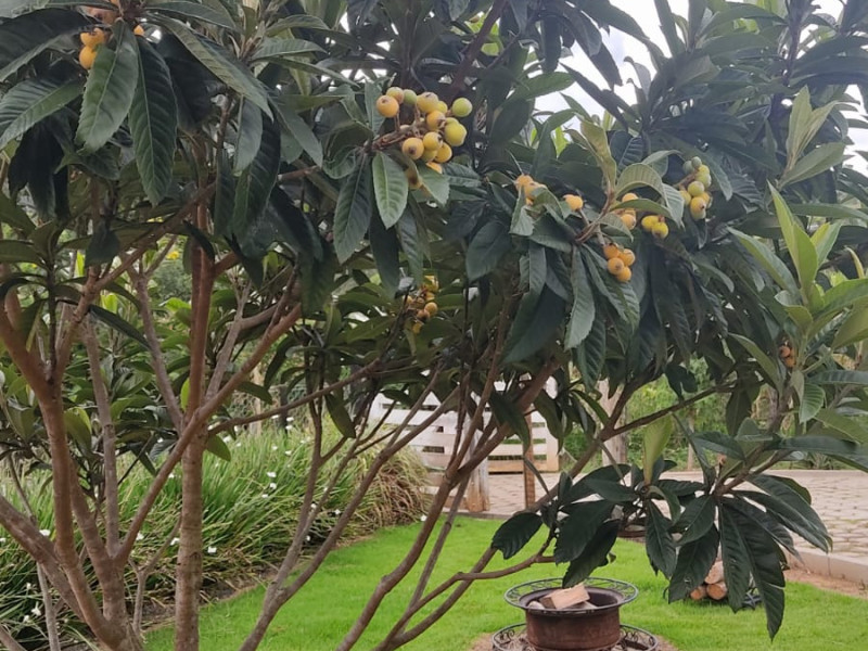 Chácara em Gonçalves