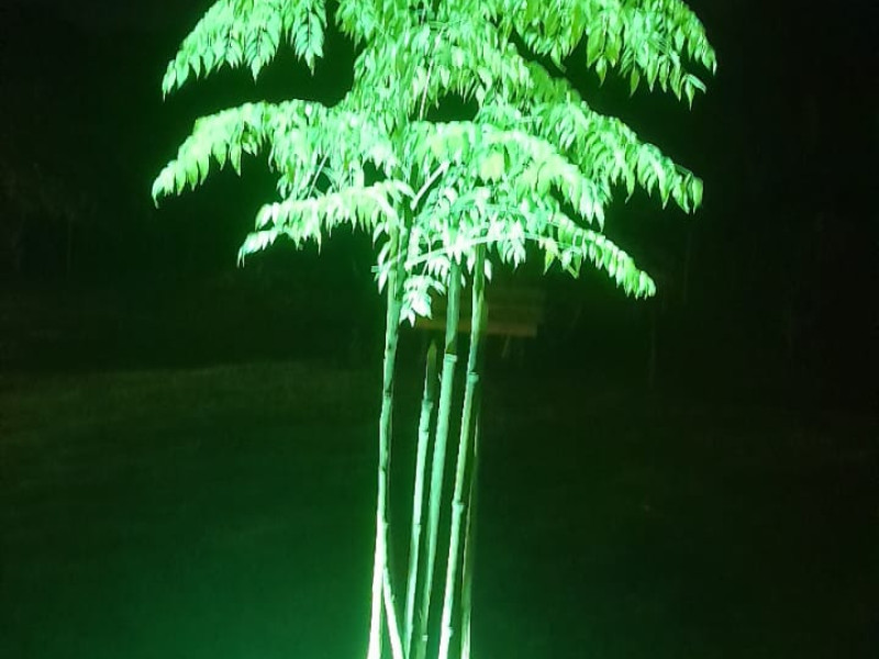 Chácara em Gonçalves