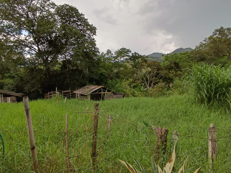 Chacara em Goncalves