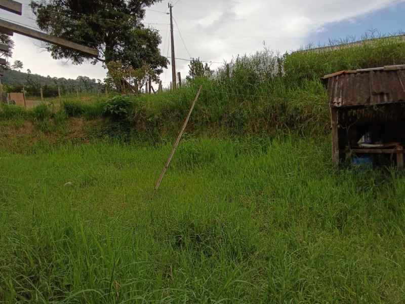 Chacara em Goncalves