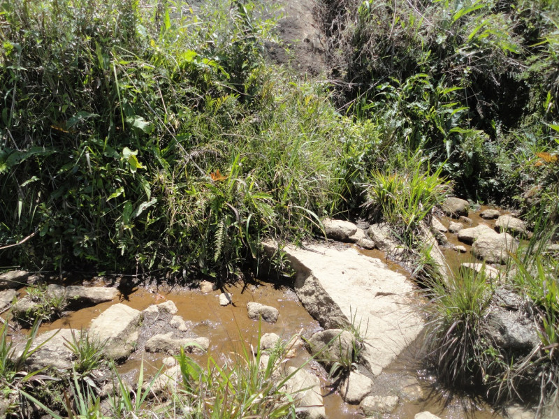 Area proximo a Goncalves