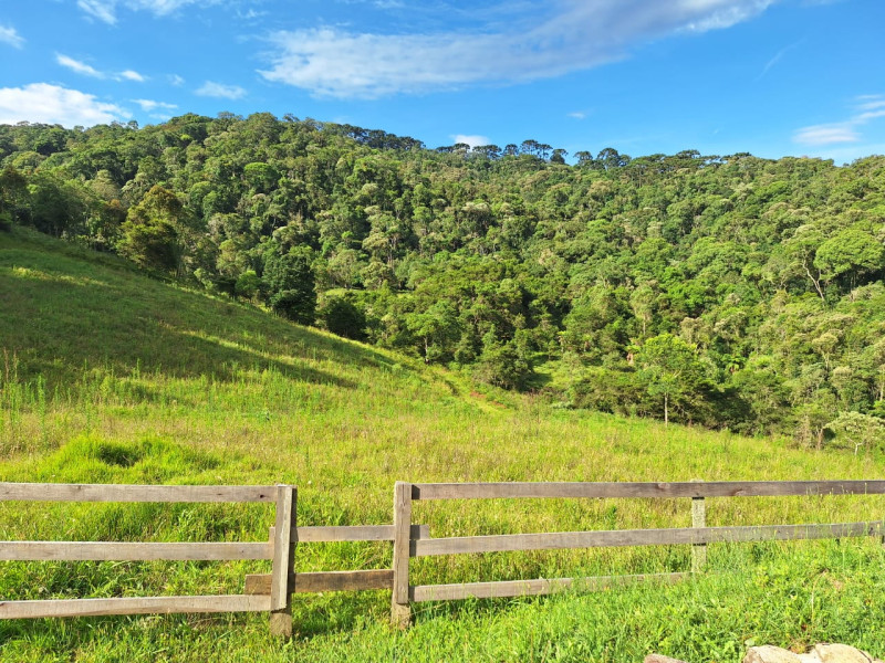 Chacara em Goncalves