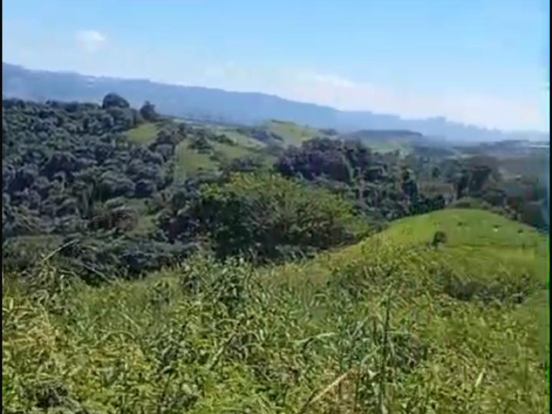 Area em Corrego do Bom Jesus