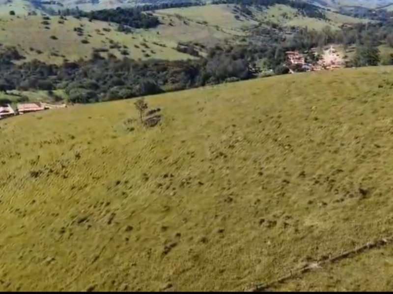 Area em Paraisopolis
