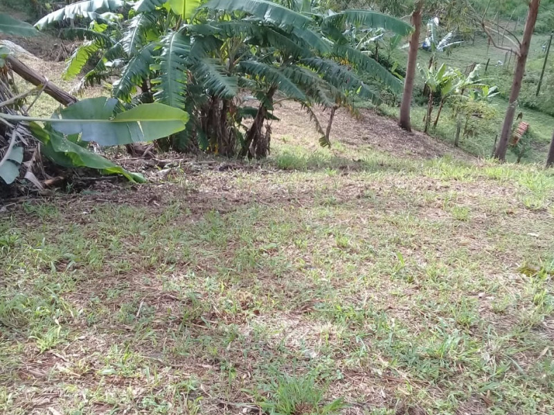 Chacara em Sao Bento do Sapucai