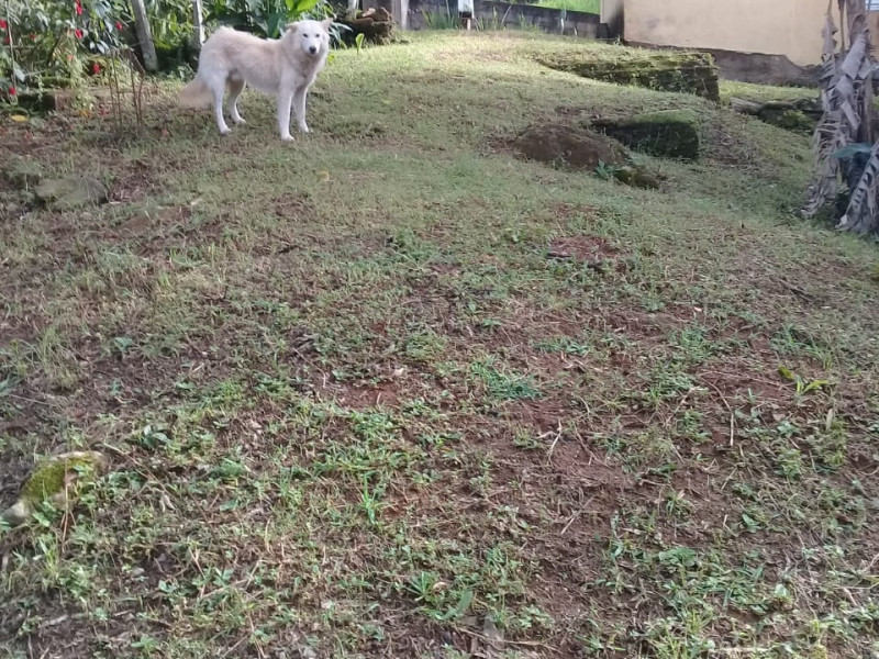 Chacara em Sao Bento do Sapucai
